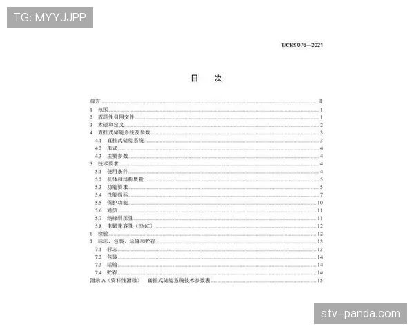 青训规则中涉及球员资格与比赛年龄限制的关键判定标准解析