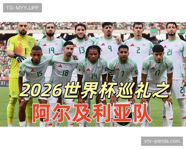 阿尔及利亚队2026世界杯预选赛前景分析 能否延续非洲杯黑马奇迹